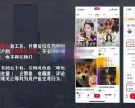 麦子互娱短视频带货·0基础做好物分享账号,无需出镜无需货源无需拍摄-私藏资源社