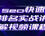 seo快速排名实战讲解视频课程,揭秘seo快排原理-私藏资源社