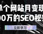 单个网站月变现100万的SEO秘密,百分百做出赚钱站点-私藏资源社
