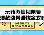 玩转微信视频号爆款涨粉赚钱全攻略,快速涨粉百万变现万元秘诀-私藏资源社