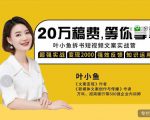 叶小鱼21天短视频文案拆书营，学完轻松搞定各类书单短视频文案-私藏资源社