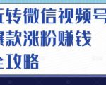 玩转微信视频号爆款涨粉赚钱全攻略,让你快速抓住流量风口,收获红利财富-私藏资源社