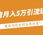老古董·抖音月入5万引流玩法,看看老司机如何玩转抖音(附赠:抖音另类引流思路)-私藏资源社