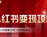 渣圈学苑·小红书虚拟资源变现项目，一起捞钱掘金价值1099元-私藏资源社