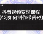 抖音短视频变现课程:带你学习如何制作带货+打造IP【41节】-私藏资源社