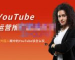 外国人眼中的YouTube该怎么玩?Elisa·YouTube运营推广实战技巧-私藏资源社