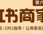 贾真-小红书商家营第6期商家版,21天带货陪跑课,让商家丢掉付流量-私藏资源社