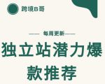 【跨境B哥】独立站潜力爆款选品推荐，测款出单率高达百分之80-私藏资源社