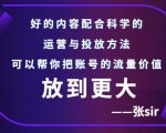 张sir账号流量增长课,告别海王流量,让你的流量更精准-私藏资源社