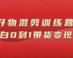 万三好物混剪训练营:小白0到1带货变现课-私藏资源社