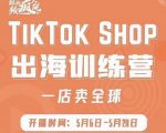 疯人院:TikTok Shop出海训练营(一店卖全球),出海抢占全球新流量-私藏资源社