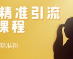 soul精准引流系列课程，每天引流100精准粉-私藏资源社