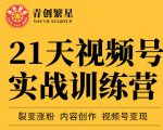 张萌21天视频号实战训练营,裂变涨粉、内容创作、视频号变现 价值298元-私藏资源社