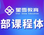 星雪教育淘系高级班,更全的运营提升方案,零基础由浅入深,店铺最新玩法-私藏资源社