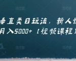 虚拟项目垂直类目玩法,新人快速起店,月入5000+【视频课程】-私藏资源社