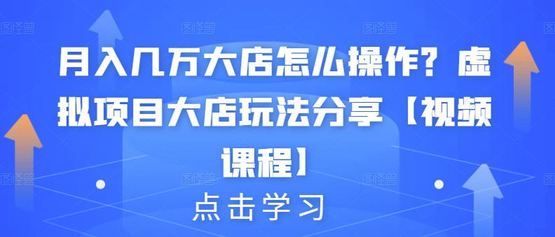 月入几万大店怎么操作？虚拟项目大店玩法分享【视频课程】-私藏资源社