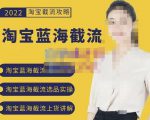 2022淘宝蓝海截流攻略,淘宝蓝海截流选品上货实操讲解-私藏资源社