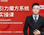 阿呆-引力魔方系统实操课,全体系实战教学,助你快速掌握推荐流量底层逻辑-私藏资源社