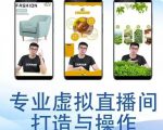 个人虚拟直播间的搭建与操作,专业虚拟直播间的打造与操作-私藏资源社