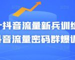 Peter抖音流量新兵训练营-破解抖音流量密码群爆训练营(新兵)-私藏资源社