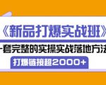 凌童《新品打爆实战班》,一套完整的实操实战落地方法，打爆链接超2000+（28节课)-私藏资源社