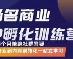 杨名商业IP孵化训练营，从商业到内容到转化一站式学 价值5980元-私藏资源社