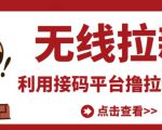 最新接码无限拉新项目,利用接码平台赚拉新平台差价,轻松日赚500+-私藏资源社