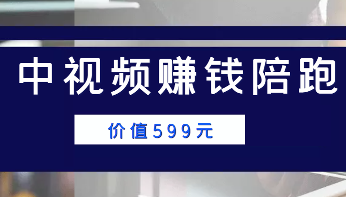 中视频赚钱陪跑，卖中视频账户赚钱收益陪跑项目（价值599元）-私藏资源社