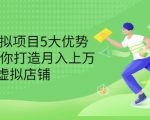 拆解虚拟项目5大优势,0基础教你打造月入上万虚拟店铺(无水印)-私藏资源社
