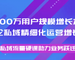 8000万用户规模增长方法论私域精细化运营增长，私域流量硬课助力业务跃迁-私藏资源社