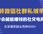 玩转微信社群私域带货,学会就能赚钱的社交电商,在家兼职副业再挣8000+-私藏资源社