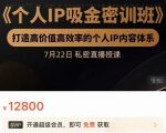 个人IP吸金密训班,打造高价值高效率的个人IP内容体系(价值12800元)-私藏资源社