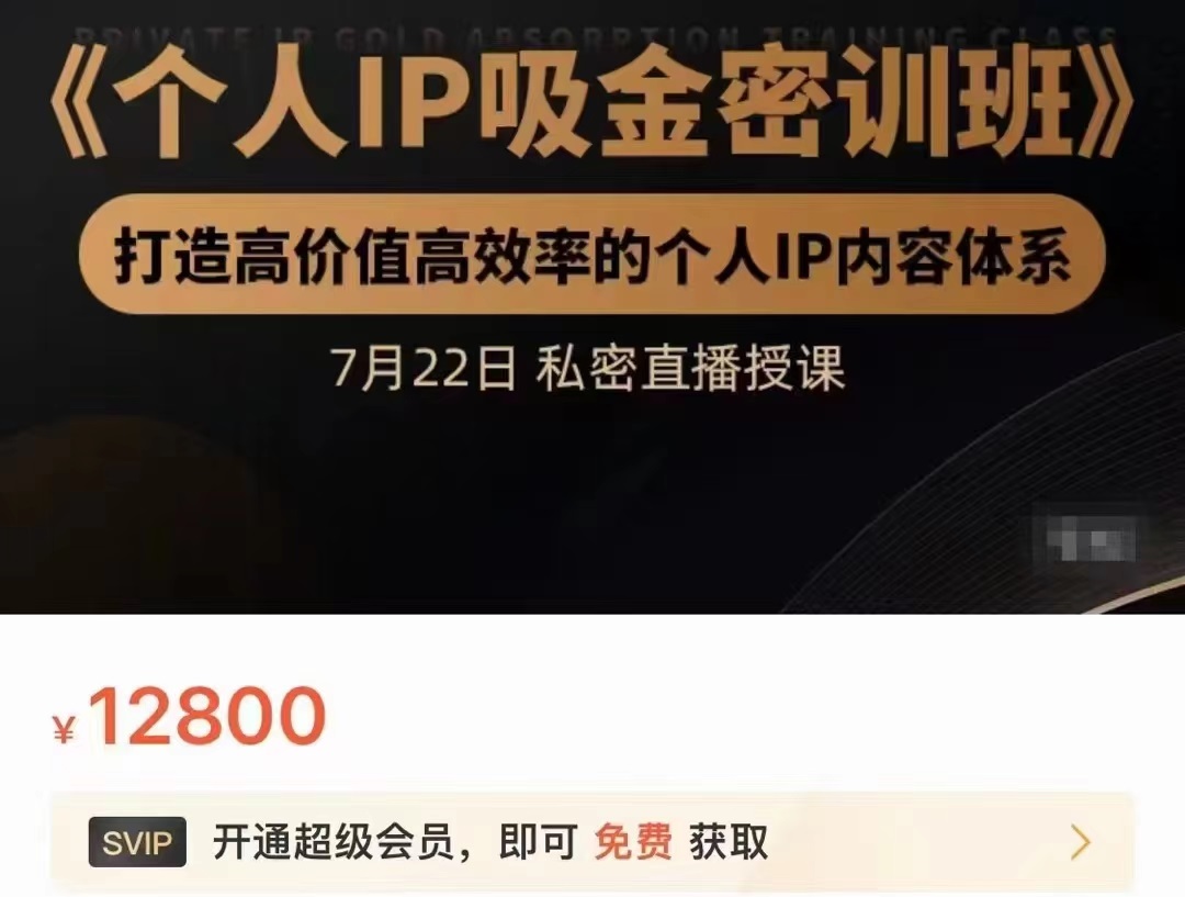 个人IP吸金密训班，打造高价值高效率的个人IP内容体系（价值12800元）-私藏资源社