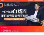 0粉0作品自然流正价起号及稳号全教程,专业自然流起号机构流程化教学(价值2980元)-私藏资源社