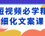 短视频必学精细化文案课,提升你的内容创作能力、升级迭代能力和变现力(价值333元)-私藏资源社