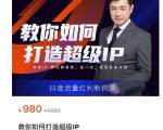 教你如何打造超级IP,抖音流量红利新机遇(价值980元)-私藏资源社