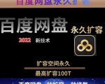 百度网盘无限扩容技术,外面卖399的,无论自己用还是用做引流都可以-私藏资源社