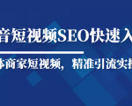 抖音短视频Seo搜索排名优化新手快速入门教程,实体商家短视频,精准引流实操课-私藏资源社