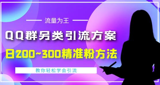 价值888的QQ群另类引流方案，半自动操作日200~300精准粉方法【视频教程】-私藏资源社