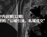 新媒体IP内训营(12期)，一套全新的“公域引流，私域成交”IP打法，直接带走-私藏资源社