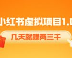 《小红书虚拟项目1.0》账号注册+养号+视频制作+引流+变现,几天就赚两三千-私藏资源社