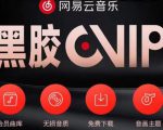 网易云音乐撸黑胶年卡及变现方法,收益可无限放大-私藏资源社