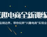 兴趣电商全新训练营:打破品销边界,带你玩转“兴趣电商“实现业务增长-私藏资源社