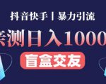 日收益1000+的交友盲盒副业丨有手就行的抖音快手暴力引流-私藏资源社
