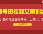 视频号短视频文案训练营：0基础小白如何建立视频号，上热门，能卖货！-私藏资源社