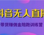 抖音无人直播带货赚佣金陪跑训练营(价值6980元)-私藏资源社