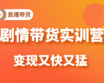 《剧情带货实训营》目前最好的直播带货方式,变起现来是又快又猛(价值980元)-私藏资源社