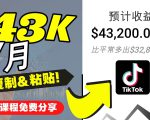 2022抖音国际版Tiktok赚钱项目:每天上传一个视频就轻松月入$43200-私藏资源社