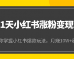 21天小红书涨粉变现营(第4期):带你掌握小红书爆款玩法,月赚10W+秘密-私藏资源社