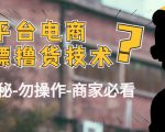 外面收费2980的全平台电商白嫖撸货技术（仅揭秘勿操作-商家防范必看）-私藏资源社